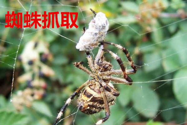 浅谈企业对于营销型网站建设存在的四个误解(图1) 浅谈企业对于营销型网站建设存在的四个误解(图1)